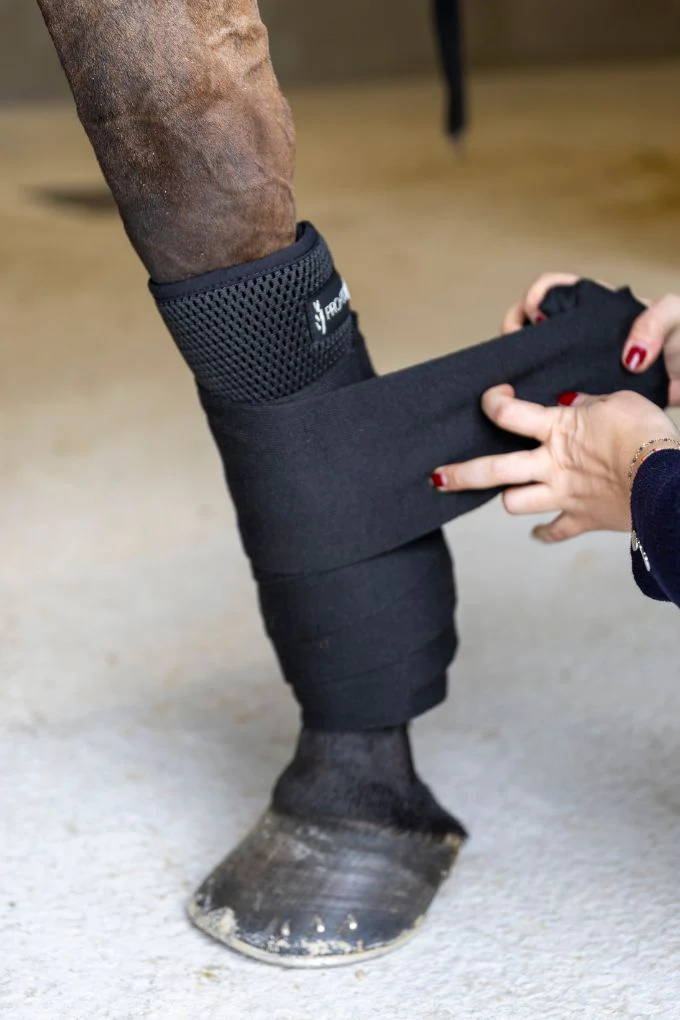 Pim Set de 4 bandes de repos – Image 2