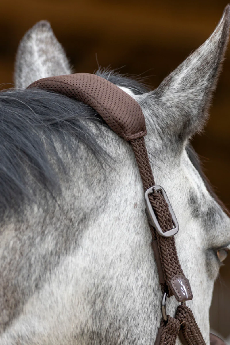 Dorai Set Licol ergonomique en mesh et longe – Image 6