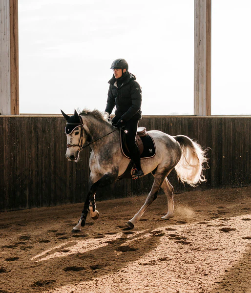 FAHRENHEIT • Blouson chaud et isolant pour Homme – Image 9