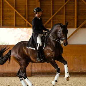 LONG FRAC  • Horse Pilot