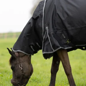 Muze Couvre cou imperméable 200G