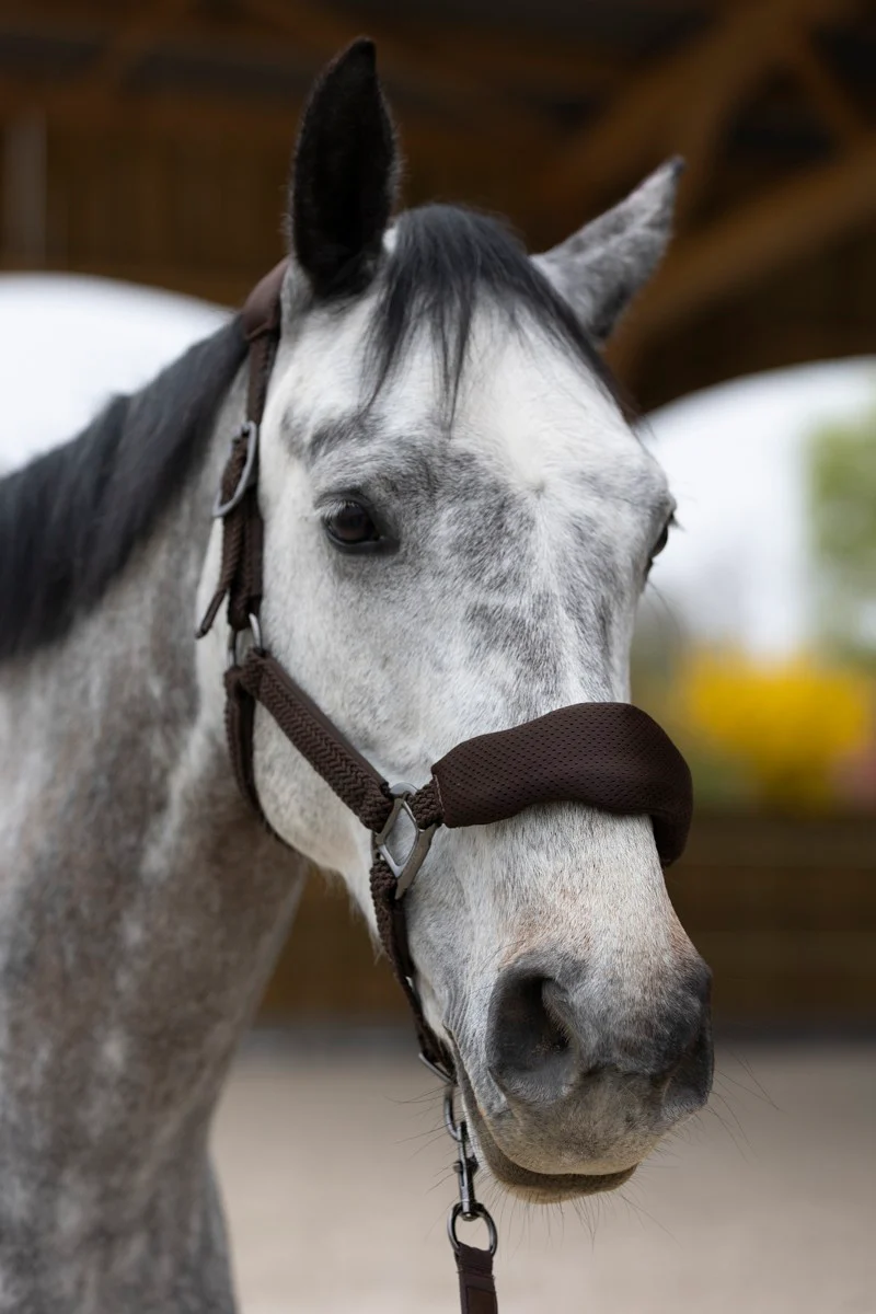 Dorai Set Licol ergonomique en mesh et longe – Image 9