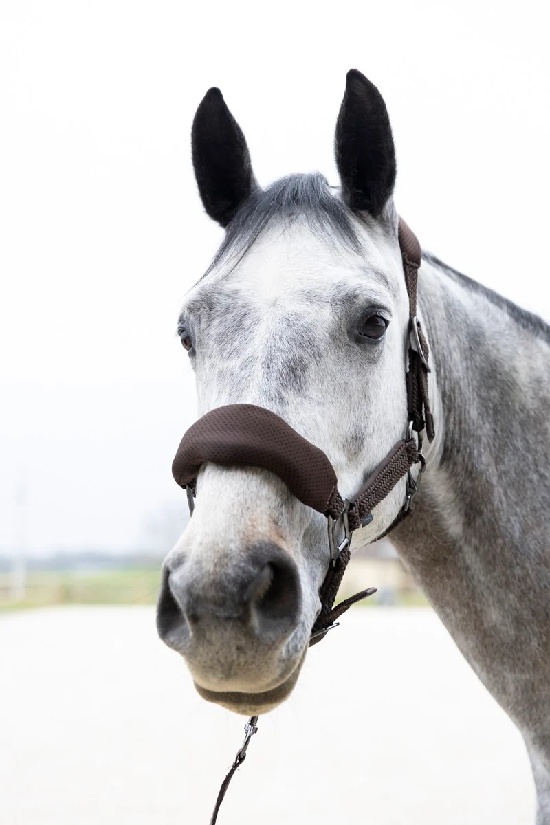 Dorai Set Licol ergonomique en mesh et longe – Image 8